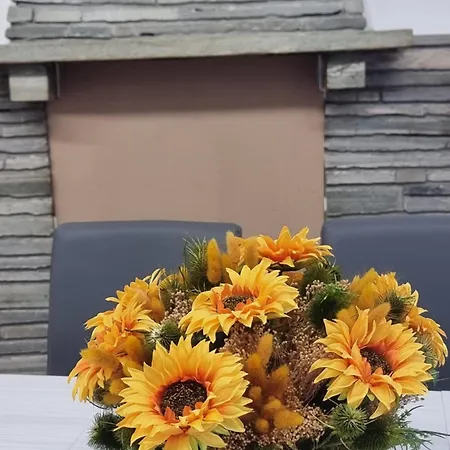 Sunflower Domaso
