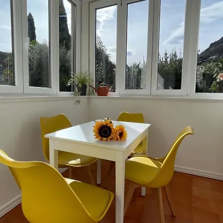 Апартаменты Sunflower *