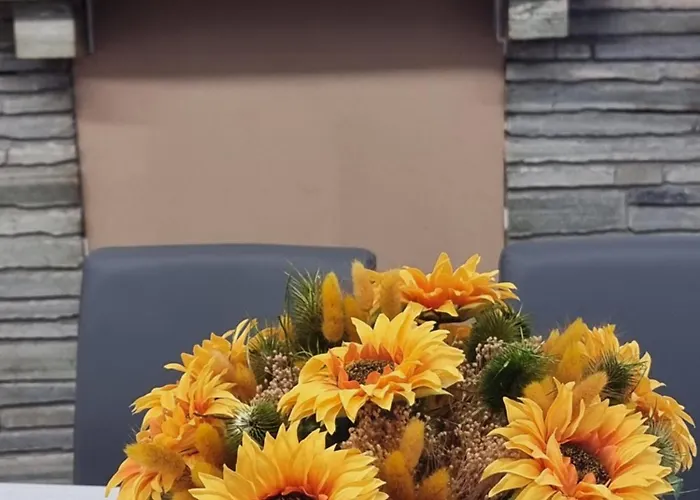 Sunflower Domaso