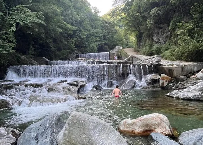 Апартаменты Sunflower Домазо