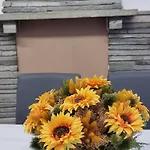 Sunflower Domaso